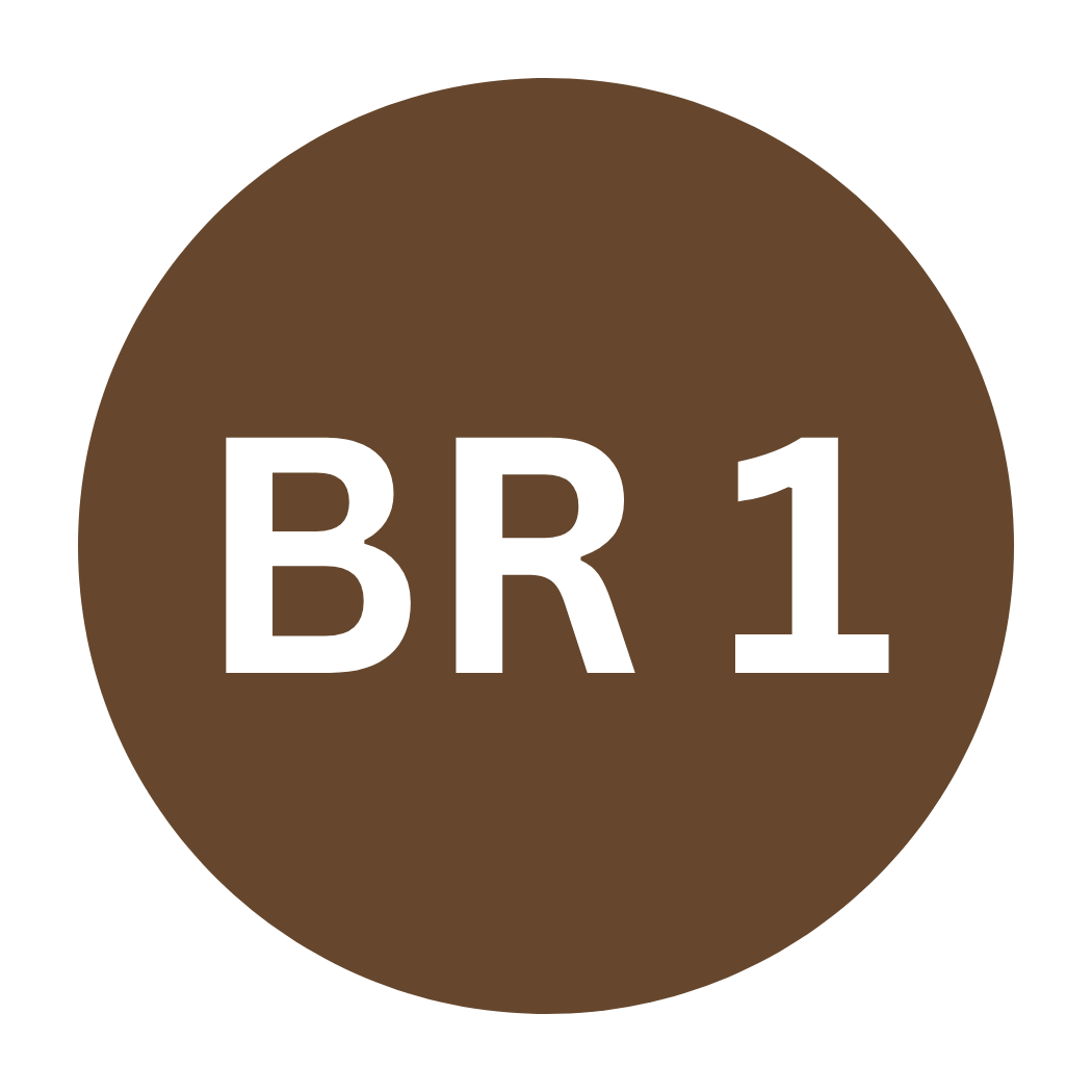 Branch 1